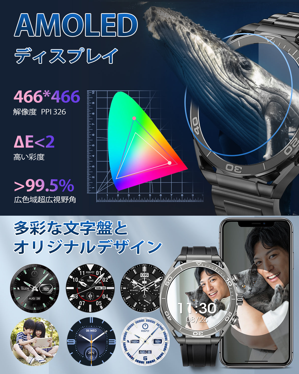 FOSMET LSW6の有機EL版